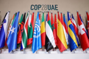 cop28